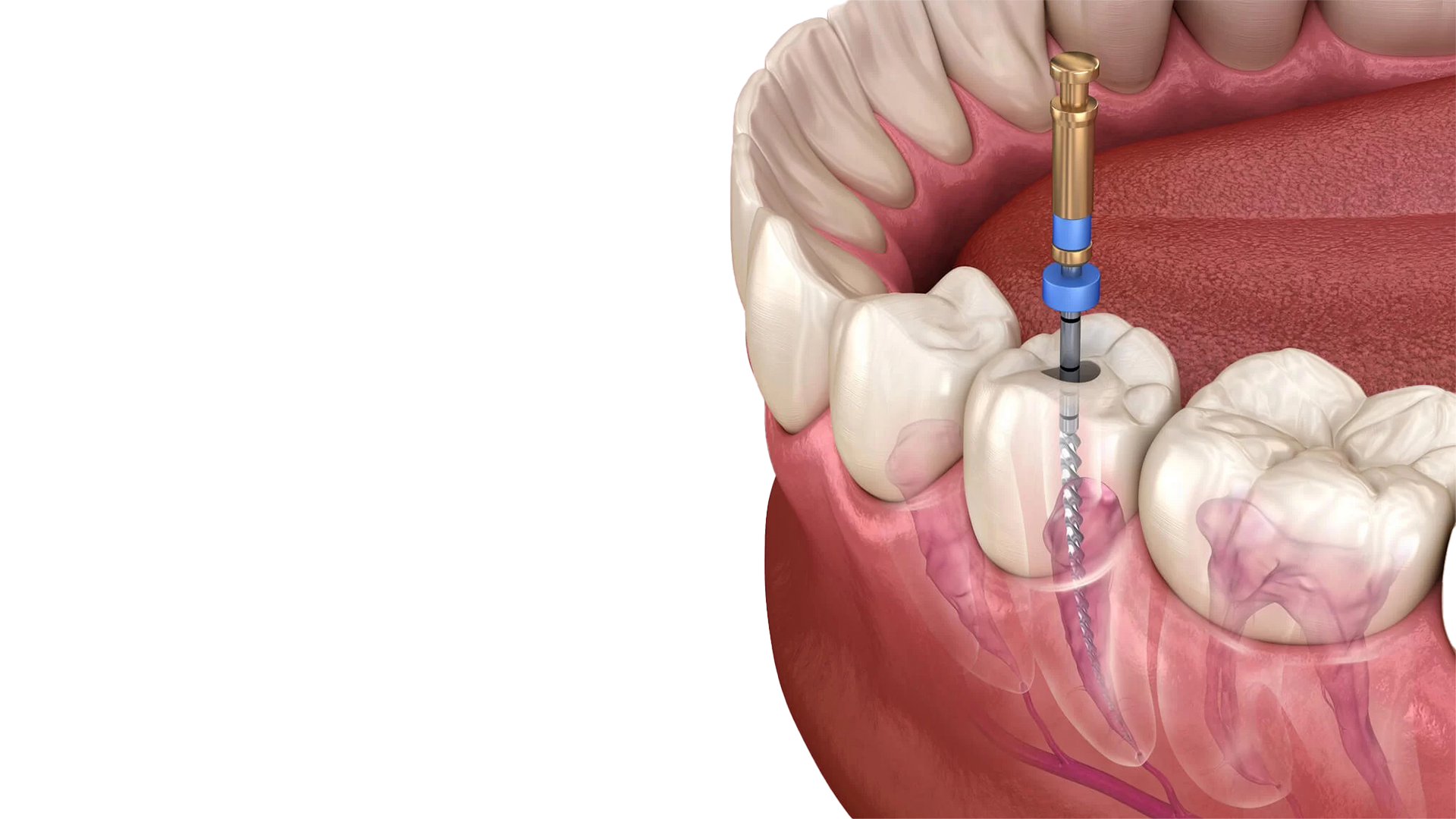 Servicios de la Clínica Dental security